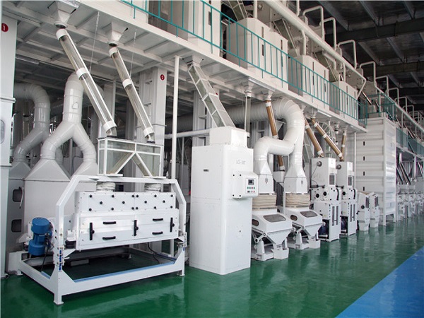 全自動玉米加工設備多少錢一套?玉米加工設備價格 全自動玉米加工設備多少錢一套?玉米加工設備價格